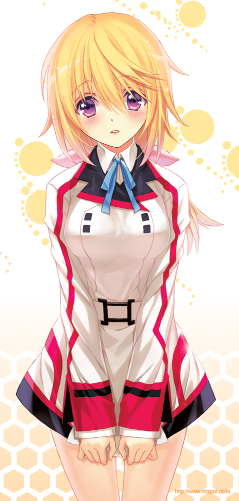 Charlotte Dunois - Infinite Stratos  page 3 of 30 - Zerochan Anime Image  Board